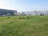 IMG_0249 (Large)